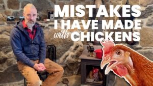 7 Mistakes Every First-Time Chicken Keeper Makes: Avoid These Common Pitfalls