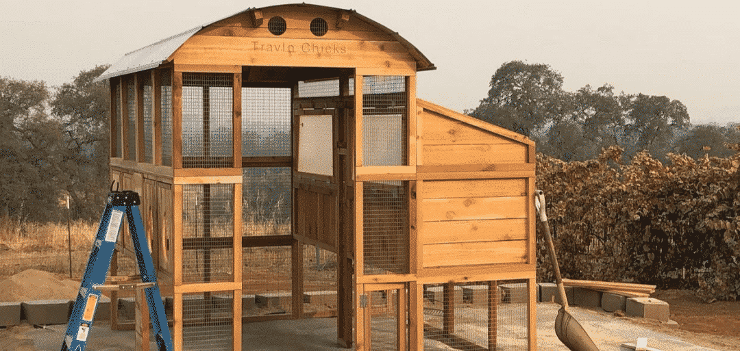 Where to Put Your Chicken Coop? 11 Placement Tips for a Healthy, Happy Flock