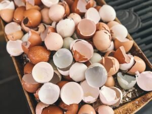 Why Are My Chickens Eating Their Own Eggs? (And How to Stop It)