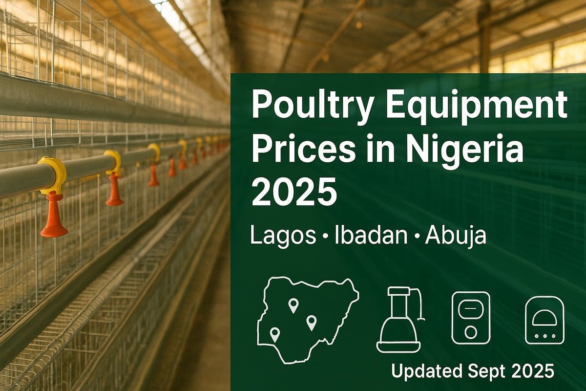 Poultry Equipment Price List Nigeria (Lagos, Ibadan, Abuja)