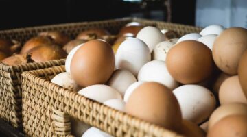 How to Preserve and Store Eggs to Reduce Spoilage and Increase Profit | 2025 Guide