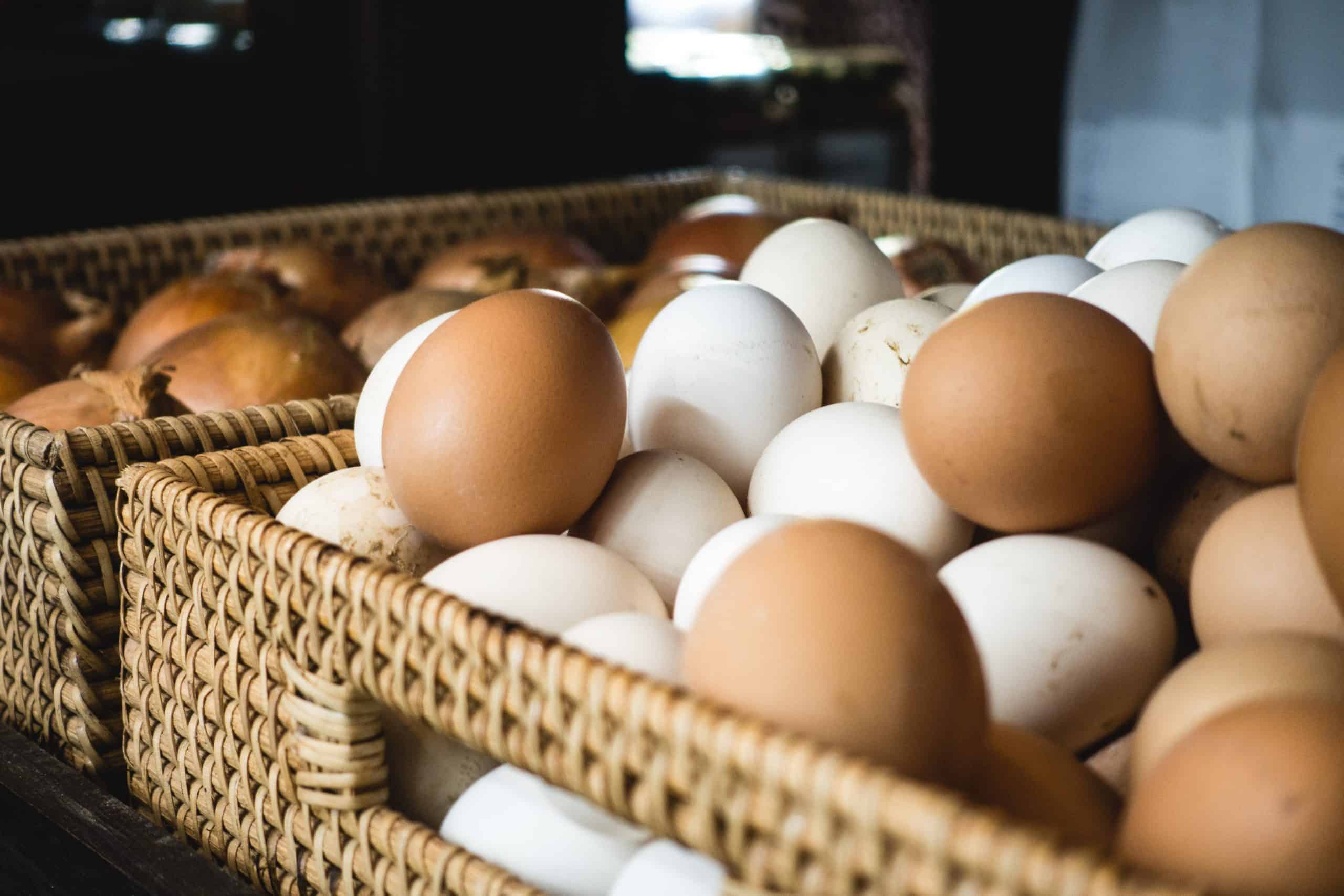 How to Preserve and Store Eggs to Reduce Spoilage and Increase Profit | 2025 Guide