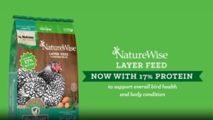 NatureWise Chicken Feed: The Complete Guide to Nutrena's Premium Poultry Nutrition