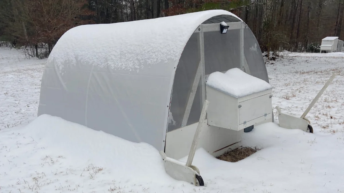 Winterizing Chicken Coop: Complete DIY Guide for Extreme Cold Protection