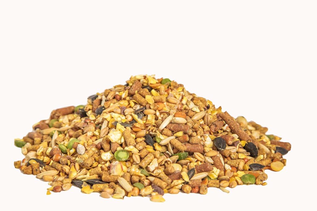 Kalmbach Henhouse Reserve Chicken Feed: The Complete Layer Feed Your Flock Needs