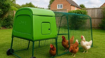 A Step-by-Step Guide to Assembling an Omlet Eglu Cube