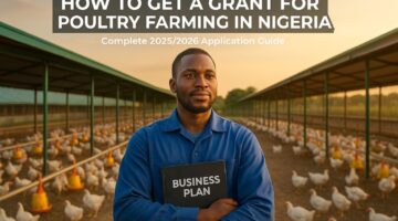 How to Get a Grant for Poultry Farming in Nigeria