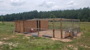 Best Chicken Coop Flooring for Mud: Engineering a Dry Run