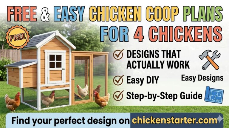 Chicken Coop Plans for 4 Chickens: Free and Easy Designs That Actually Work