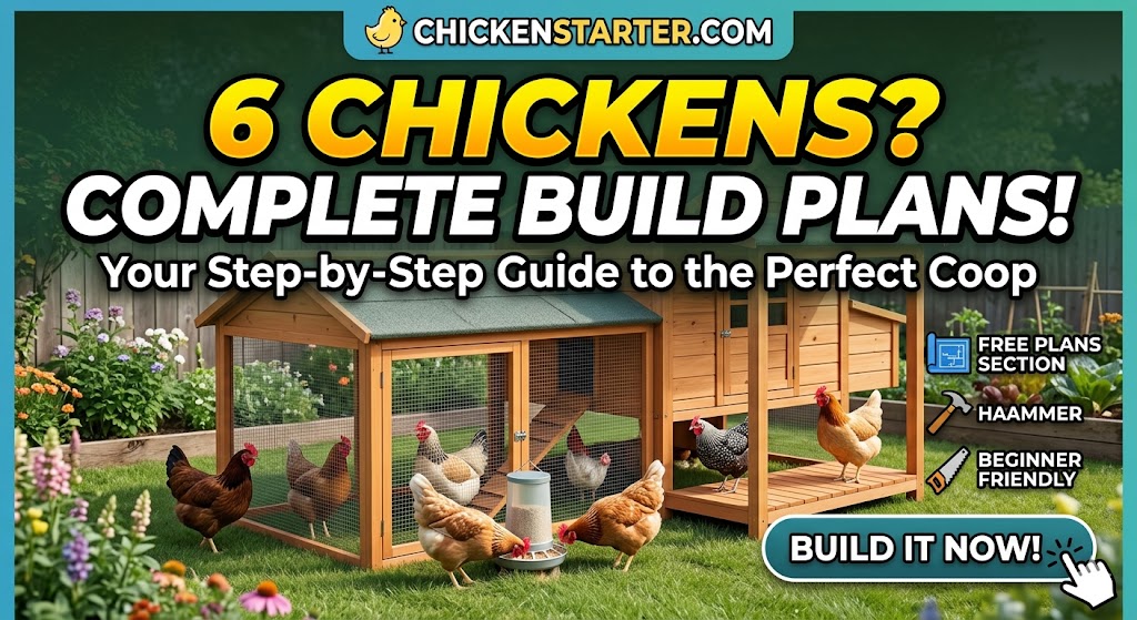 Chicken Coop Plans for 6 Chickens: A Complete Step-by-Step Building Guide